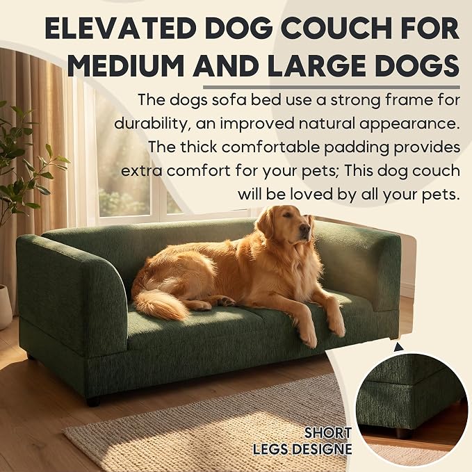 56.5" Dog Sofa Couch for Medium and Large Dogs with Backrest and Armrest, Memory Foam Dog Sofa Bed, Modern Elevated Pet Couch Bed with Legs for Dogs, Green