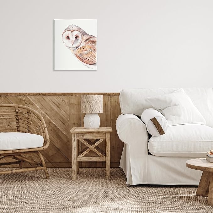 Peeking Barn Owl Gaze Wildlife, 11 x 14 Inch Mounted Print on Wall Plaque | Stupell Industries · By Cady Driver · Ready to hang · Rustic cabin and lodge decor · Made in USA