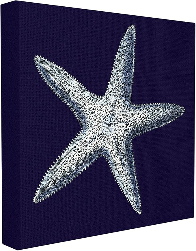 Stupell Home Décor Distressed Navy and White Starfish Stretched Canvas Wall Art, 17 x 1.5 x 17, Proudly Made in USA