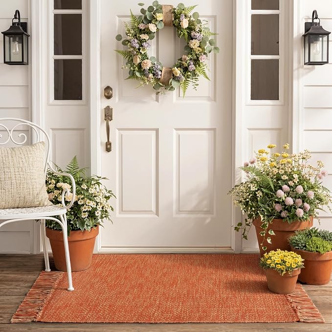 Collive 2' x 4.3' Indoor Outdoor Rug, Modern Farmhouse Kitchen Runner Rugs Hand-Woven Bathroom Mat, Washable Entry Carpet Reversible Front Door Mats for Laundry Bedroom Porch Terracotta Fall Decor