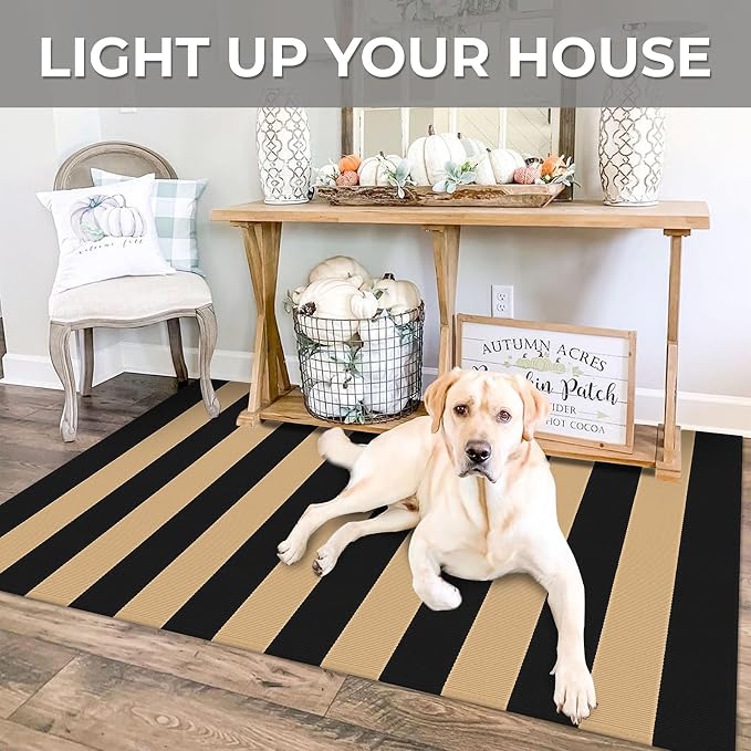 IOHOUZE Black Tan Rug 3x5 Ft Front Door Mats Outdoor, Washable Rug for Front Porch Decor, Spring Summer Welcome Mats Outdoor Indoor, Doormat for Farmhouse/Entryway/Home Entrance