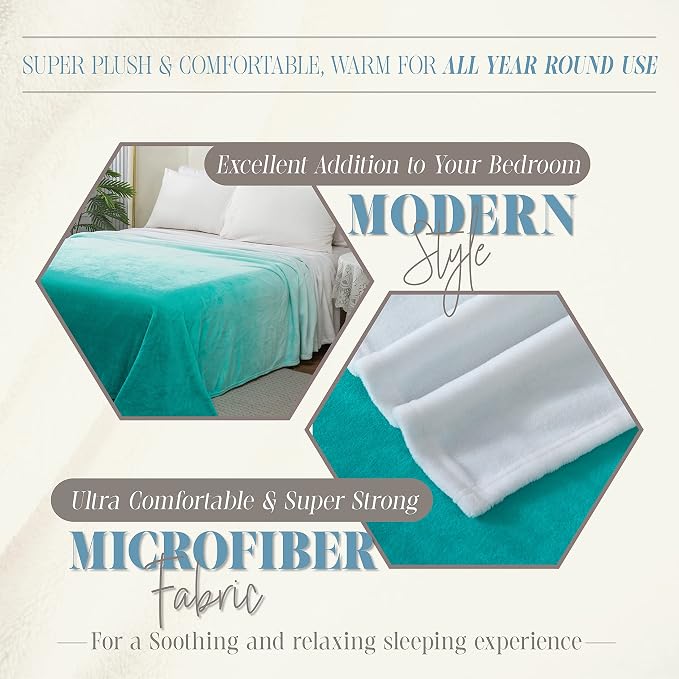 Elegant Comfort Luxury Velvety Feel Blanket, All-Season Lightweight Blanket, Ultra Plush, Soft, Cozy-Fuzzy Flannel Fleece for Couch, Sofa, Bed, Travel, Ombre Design, Twin/Twin XL, Tiffany