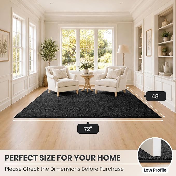 PURRUGS Easy Care Area Rug 4ft x 6ft, Non-Slip Machine Washable Entryway Rug, Dog Door Mat, Stain Resistant Accent Rug for Hallway, Living Room, Bedroom and Mudroom, Charcoal