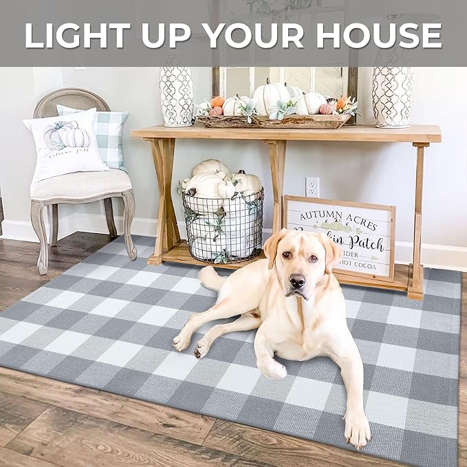 IOHOUZE Buffalo Plaid Checkered Rug 3x5 Ft Front Door Mats, Washable Area Rugs for Front Porch Decor, Spring Summer Welcome Mats Outdoor, Gray White Rug for Farmhouse/Entryway/Home Entrance