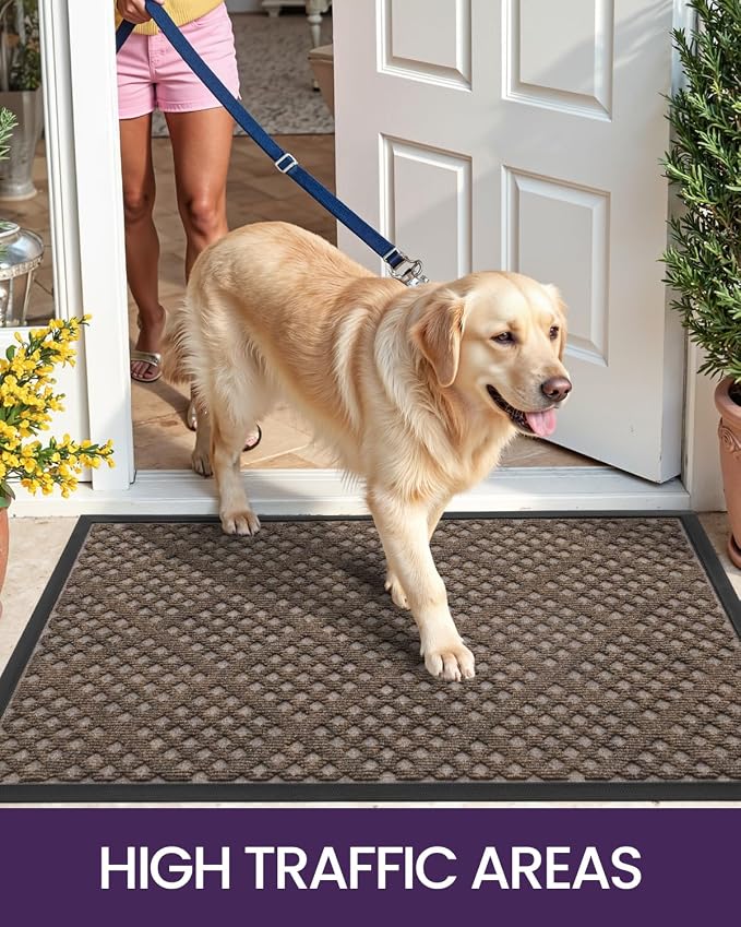 DEXI Front Door Mat Outside Entrance, 2x3 Heavy Duty Entry Doormat Dirt Trapper with Rubber Back, Non Slip Low Profile Floor Mats for Entryway Exterior Patio, Rhombic Brown