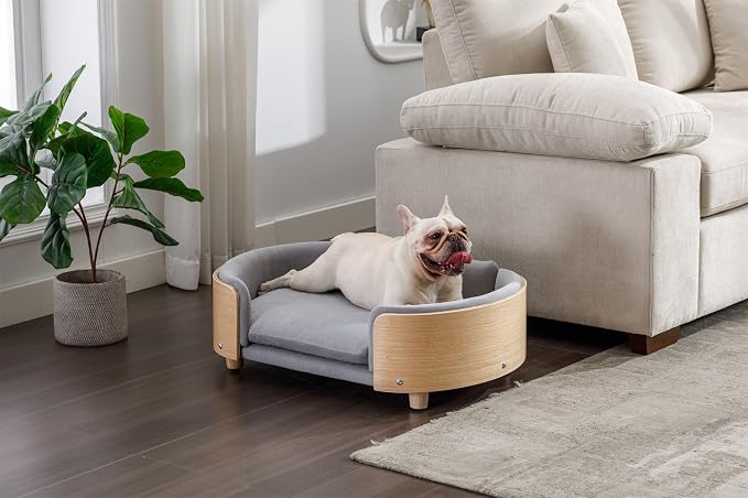 Scandinavian Dog Bed Mid-Century Pet Sofa with Velvet Cushion & Solid Wood Legs, Removable Cover, 30.7” for Medium Dogs, Natural Frame & Light Grey Cushion