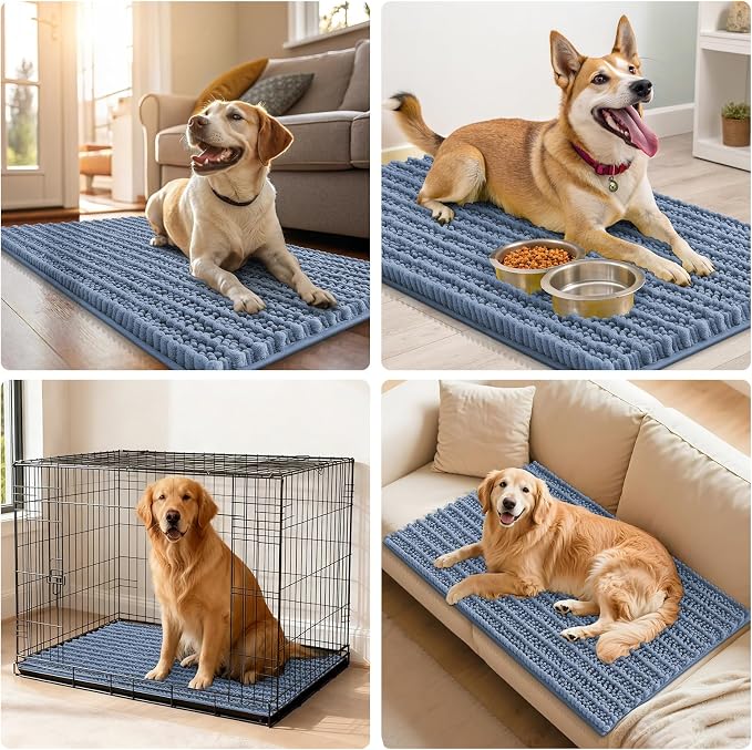 Smiry Dog Door Mat for Muddy Paws 24x16, Absorbent Dirt Trapper, Non-Slip Washable Chenille Entryway Rug for Inside Floor, Airy Blue, Layered Pattern