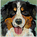 Bernese Mountain Dog Collage, 24 x 24 Inch Canvas Wall Art | Stupell Industries · By Traci Anderson · Ready to hang · Great for pet lovers · Made in USA