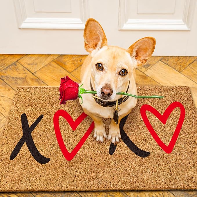 Ceenna Valentine's Day Coir Doormat Outdoor Indoor XOXO Love Hearts Welcome Door Mat Valentine's Day Rug Front Door Mat for Porch Decor Gifts, 16 x 28 Inch