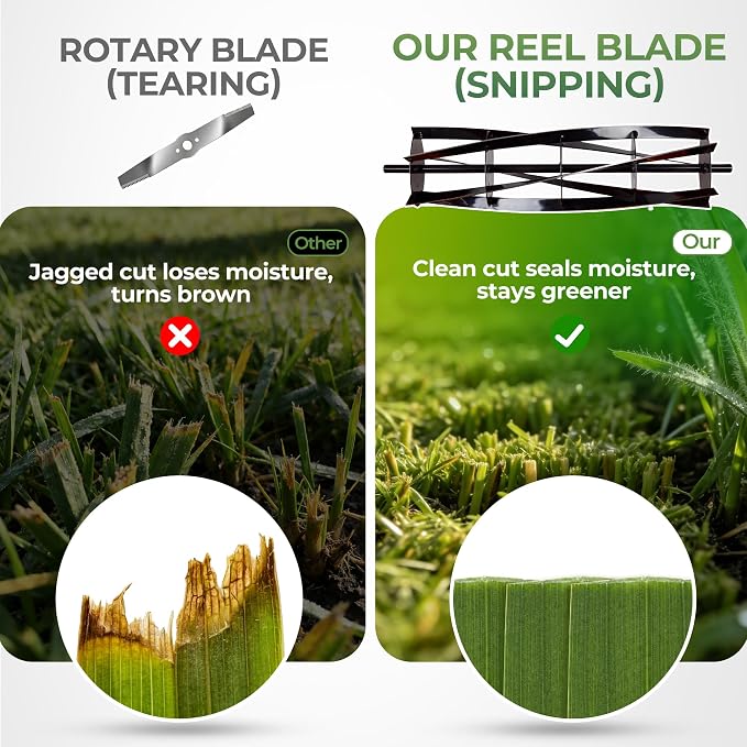 Walensee 16-Inch Cordless Electric Reel Lawn Mower with 2 Batteries | 380W motor at 22500 RPM, 5-blade reel at 900 RPM and 4 cutting heights from 0.67 to 1.77 inches for small yards