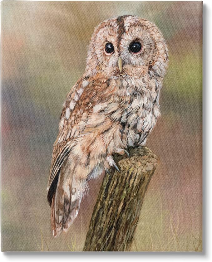 Tawny Owl Woodland Wildlife, 16 x 20 Inch Canvas Wall Art | Stupell Industries · By David Stribbling · Ready to hang · Cabin and lodge decor · Made in USA