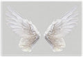 The Stupell Home Decor Collection Grey Wings Wall Plaque, 13 x 19, Multi-Color | Stupell Industries · By Lil' Rue · Ready to hang · Clean · modern wall decor · Made in USA