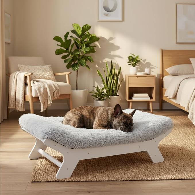 Muihood Elevated Wooden Dog Bed with Foam Mattress, White, Small | Raised Dog Bed with Washable Cover, Supportive Foam Mattress, Perfect for Small Dogs and Indoor Living