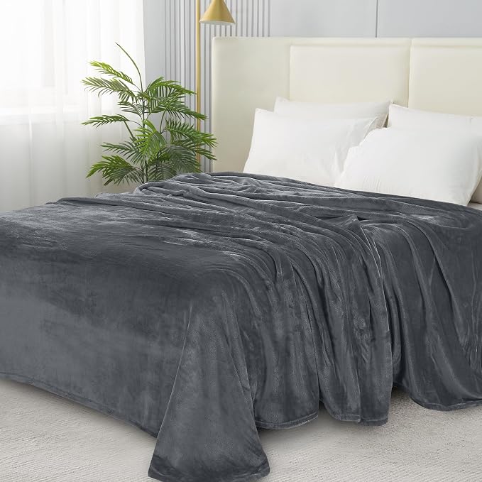 Elegant Comfort Luxury Velvety Softness Fuzzy Plush Micro-Velour Ultra-Soft Blanket, Twin/Twin XL, Grey