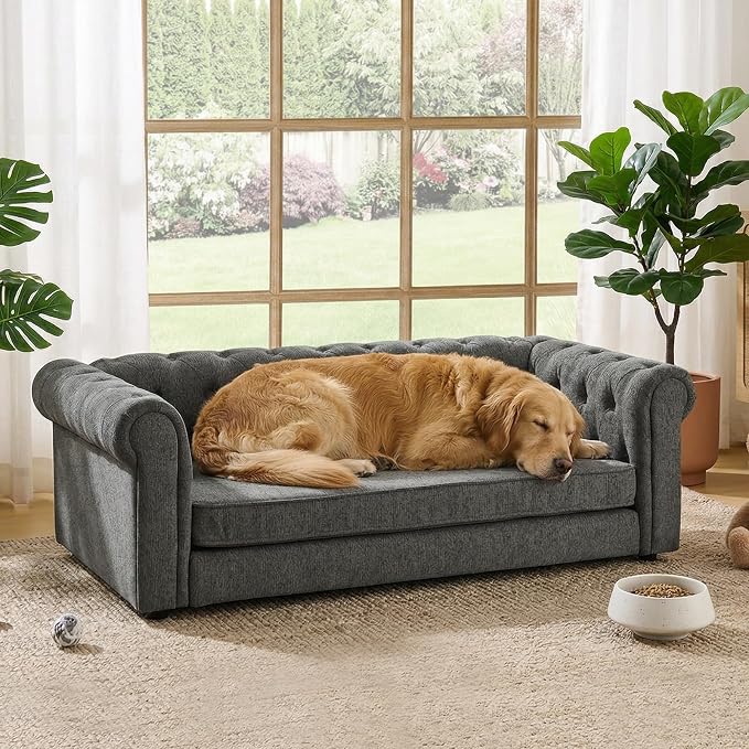 Elevated XL Large Dog Sofa with Backrest and Armrests, 55" Button Tufted Dog Couch Bed with Soft Cushion for Large Dogs, Stylish Lounging Bed Pet Couch Chair, 120Lbs Weight Capacity, Dark Gray