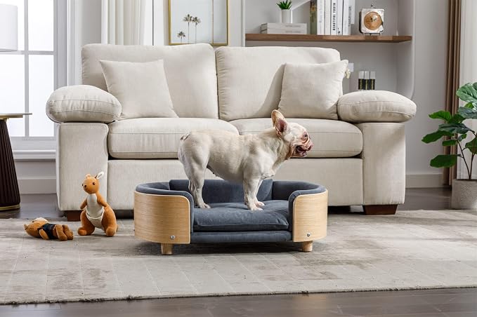 Scandinavian Dog Bed Mid-Century Pet Sofa with Velvet Cushion & Solid Wood Legs, Removable Cover, 30.7” for Medium Dogs, Natural Frame & Dark Grey Cushion