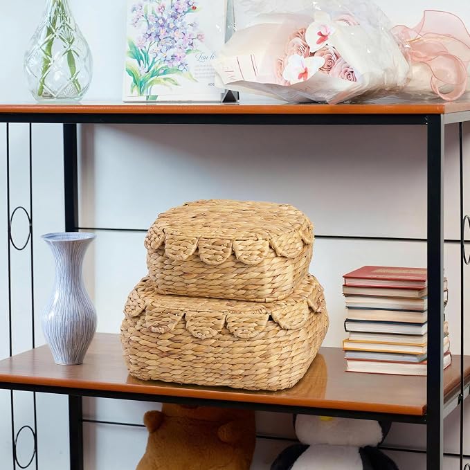 LUSYDECO Set of 2 Wicker Storage Baskets with Lid, Rattan Basket Decorative Boxes, Woven Storage Box Hyacinth Basket with Lids, Small Scalloped Edge Wicker Baskets with Lids