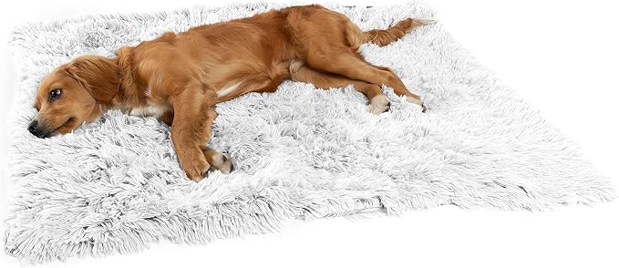 Best Friends by Sheri Dog Blanket, Shag Faux Fur, Frost Gray, 30" x 40" | Ultra Soft Throw for Pets, Sense of Security & Warmth, Lightweight Bed Cover, Machine Washable, Cats & Small-Medium Dogs