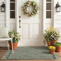 Collive 2' x 4.3' Indoor Outdoor Rug, Modern Farmhouse Sage Green Kitchen Runner Rugs Hand-Woven Bathroom Mat, Boho Washable Front Door Mats Reversible Entry Carpet for Laundry Bedroom Porch Decor
