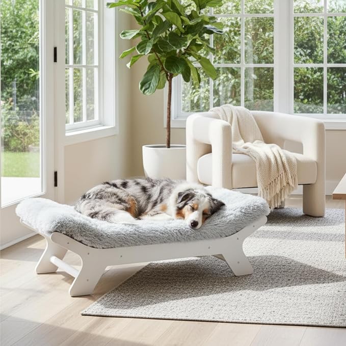 Muihood Elevated Wooden Dog Bed with Foam Mattress, White, Large | Raised Dog Bed with Washable Cover, Supportive Foam Mattress, Perfect for Large Dogs and Indoor Living