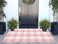 Pink and White Buffalo Outdoor Rug 24''x51''Checkered Plaid Front Porch Rug Cotton Woven Machine Washable Door Mat Outdoor for Layered Doormat Hello Welcome Door Mat Kitchen Farmhouse Entryway