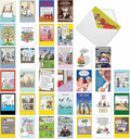 NobleWorks Variety Pack of 36 Funny Birthday Cards Assortment Dry Wit Adult Humor Style Edgy Adult Humor BDay Bulk Box Set Birthday Favorites Collection for Men AC2911BDG-B1x36