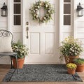 Collive 2' x 4.3' Indoor Outdoor Rug, Modern Farmhouse Kitchen Runner Rugs Hand-Woven Bathroom Rugs, Boho Washable Entry Carpet Black Reversible Front Door Mats for Laundry Bedroom Porch Decor