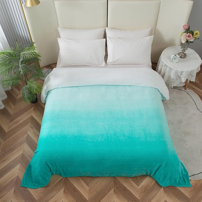 Elegant Comfort Luxury Velvety Feel Blanket, All-Season Lightweight Blanket, Ultra Plush, Soft, Cozy-Fuzzy Flannel Fleece for Couch, Sofa, Bed, Travel, Ombre Design, Twin/Twin XL, Tiffany