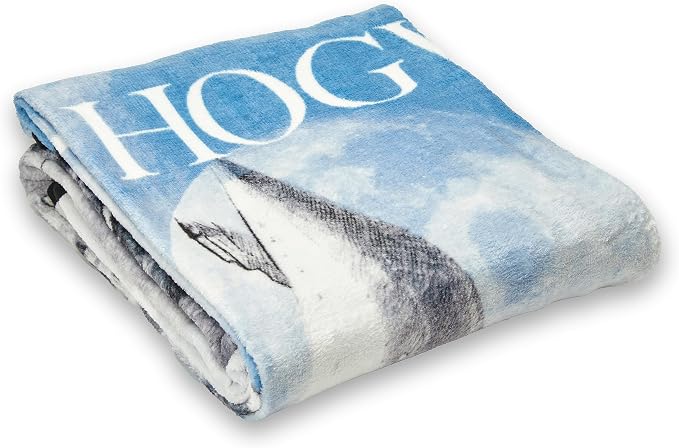 Northwest Harry Potter Micro Raschel Throw Blanket, Lightweight Breathable for Couch, Sofa, Cozy for All Seasons 46" x 60", Witchcraft and Wizardry