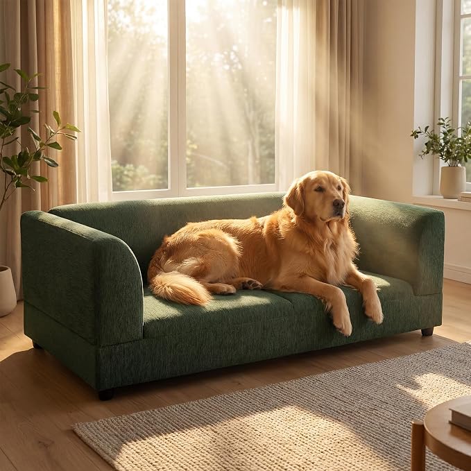 Oversized Dog Sofa Couch for Medium and Large Dogs with Backrest and Armrest, 56.5" Memory Foam Dog Sofa Bed, Modern Elevated Pet Couch Bed with Legs, Green