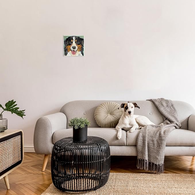 Bernese Mountain Dog Collage, 12 x 12 Inch Mounted Print on Wall Plaque | Stupell Industries · By Traci Anderson · Ready to hang · Great for pet lovers · Made in USA