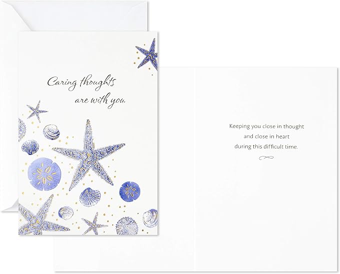 Hallmark Birthday Cards Assortment, 20 Cards with Envelopes & Sympathy Cards Assortment, Watercolor Nature (12 Assorted Thinking of You Cards with Envelopes)