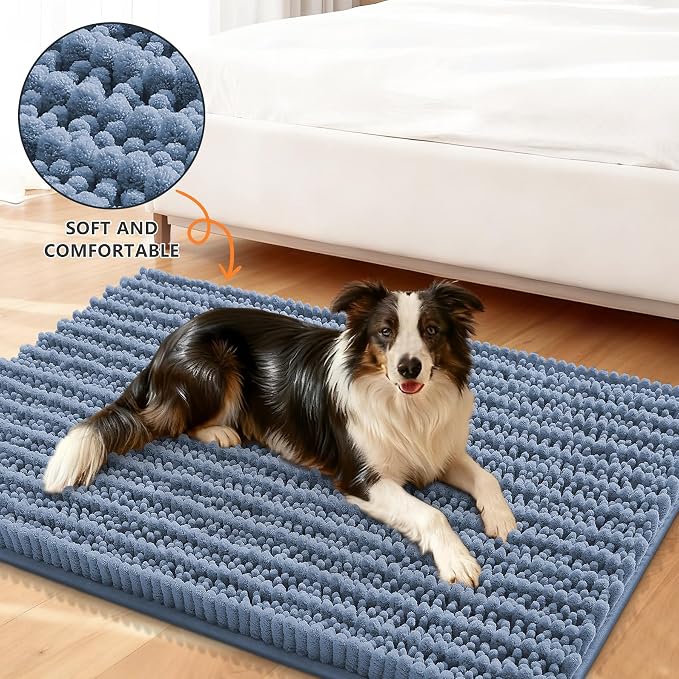 Smiry Dog Door Mat for Muddy Paws 24x16, Absorbent Dirt Trapper, Non-Slip Washable Chenille Entryway Rug for Inside Floor, Airy Blue, Layered Pattern