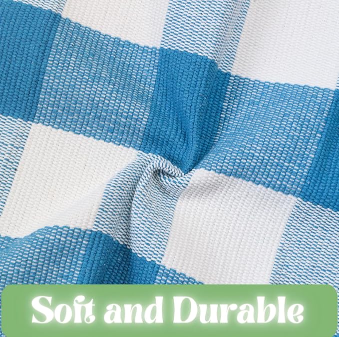 Ckorzen Blue and White Plaid Rug, 4' x 6' Spring Outdoor Front Porch Door Decor Mat, Washable Cotton Woven Farmhouse Area Rug for Layered Door Mats Carpet, Entryway, Easter Décor