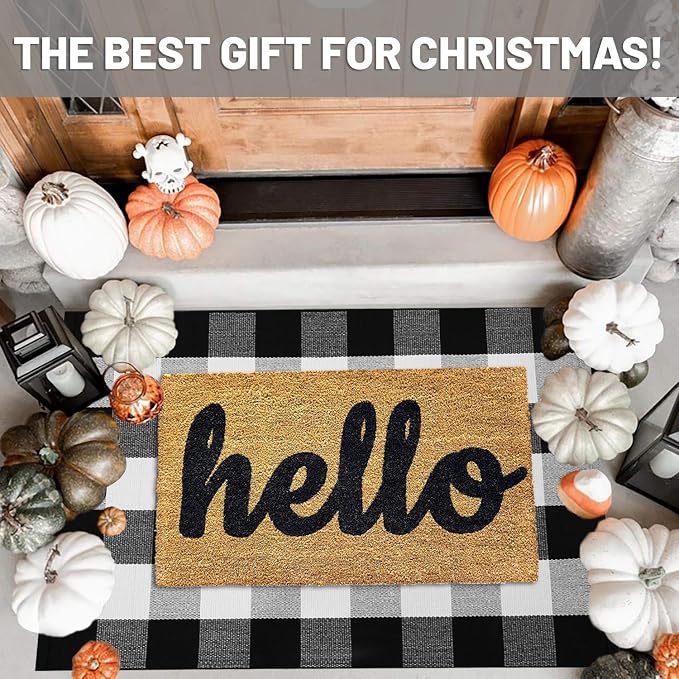 IOHOUZE Cotton Buffalo Plaid Check Rug Outdoor Doormat 27.5 x 43 Inches Washable Woven Outdoor Indoor Welcome Mats for Front Door/Farmhouse/Entryway/Home Entrance black and White Outdoor Rug