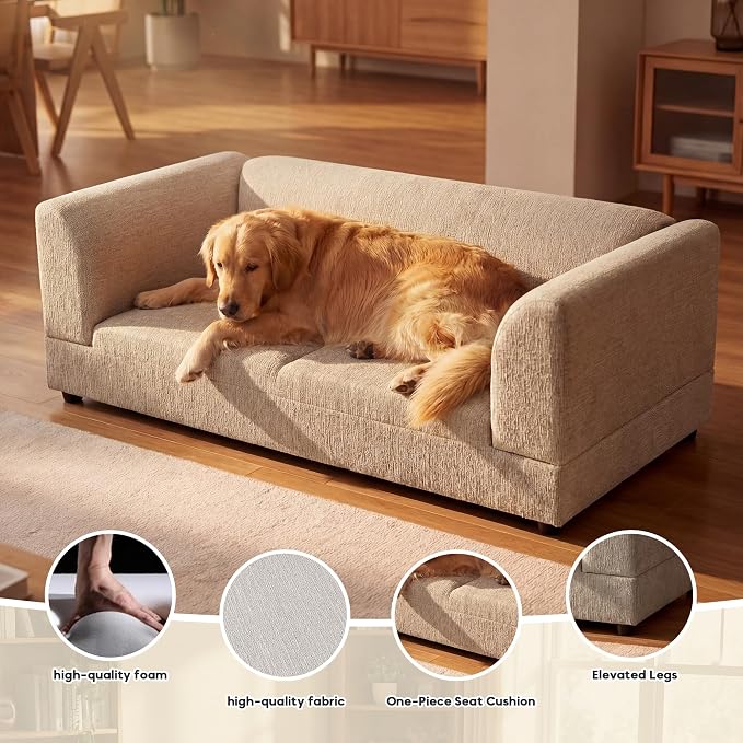 56.5" Dog Sofa Couch for Medium and Large Dogs with Backrest and Armrest, Memory Foam Dog Sofa Bed, Modern Elevated Pet Couch Bed with Legs for Dogs, Beige