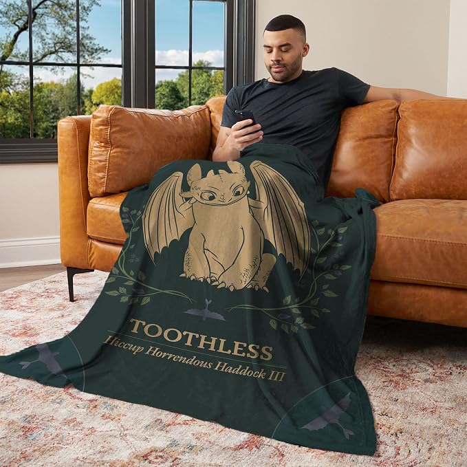 How to Train Your Dragon Hiccup and Toothless Silk Touch Throw Blanket 40x50 inches