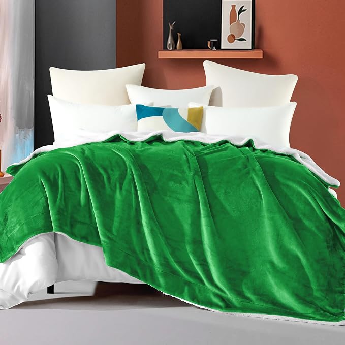 Elegant Comfort Ultra Soft Reversible Flannel Sherpa Blanket - Cozy Silky Fleece Throw for Couch, Bed - Plush Fuzzy Warm Winter Blanket for Gift, Twin XL, Emerald Green