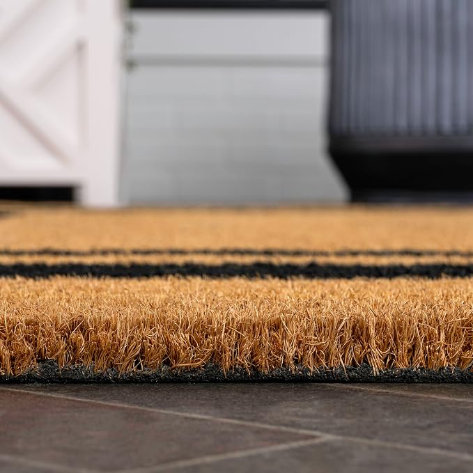 JONATHAN Y Double Border Indoor Outdoor Doormat 4X6 Natural/Black, Blaire Modern Classic for Living Room, Bedroom, Kitchen, Office, Easy-Cleaning, High Traffic, Pet-Friendly, Non-Shedding NRF107A-4