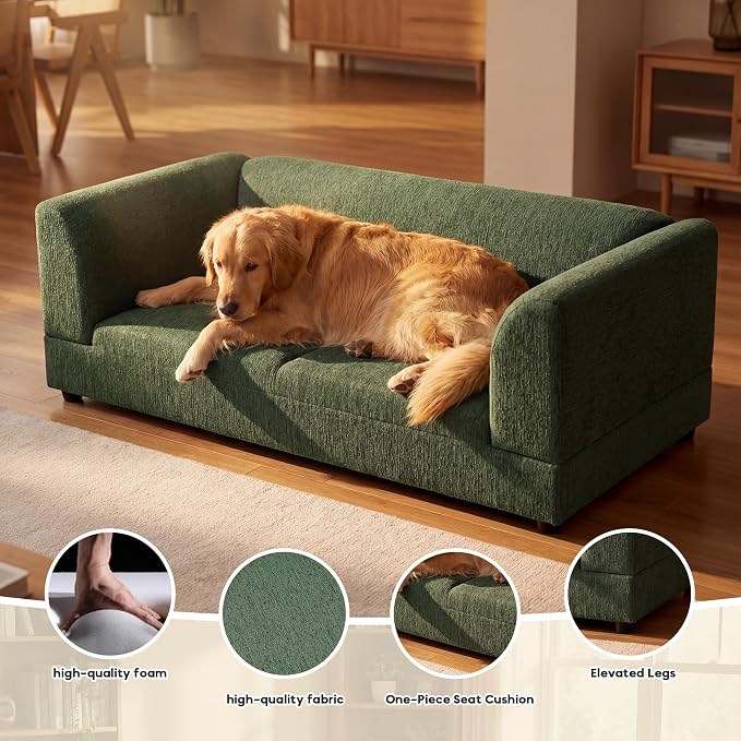 56.5" Dog Sofa Couch for Medium and Large Dogs with Backrest and Armrest, Memory Foam Dog Sofa Bed, Modern Elevated Pet Couch Bed with Legs for Dogs, Green