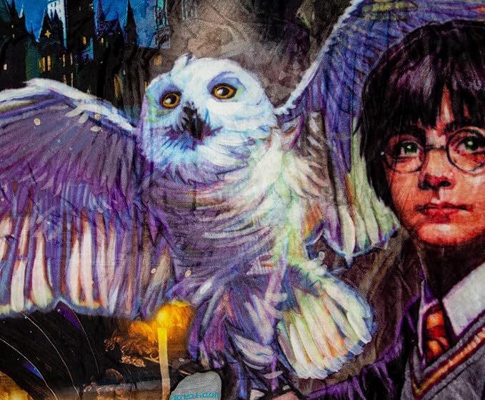 Northwest Harry Potter Silk Touch Sherpa Throw Blanket, Soft Fleece Cover, Cozy Couch Blanket 60" x 80", Potter Magic Montage