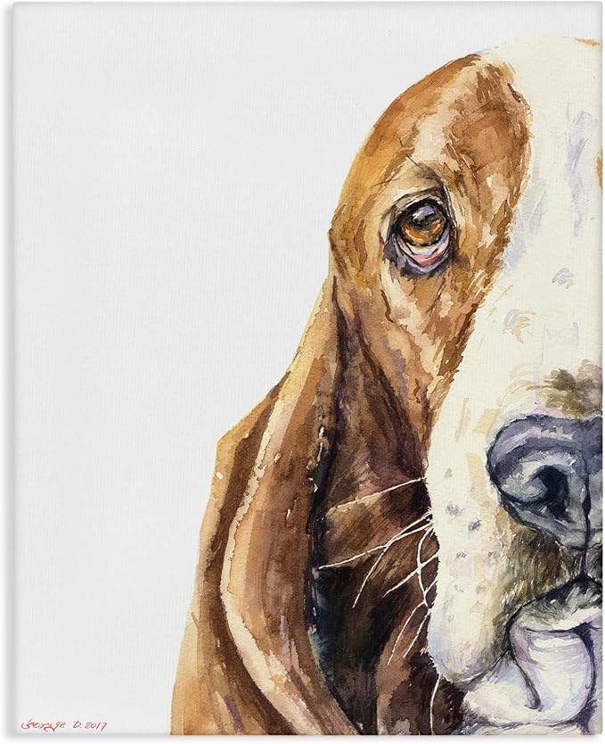 Stupell Industries 'Cute Basset Hound Pet Watercolor', Canvas Art, 16 x 20 Inches, Easy to Hang and Sturdy, Made in USA, by George Dyachenko
