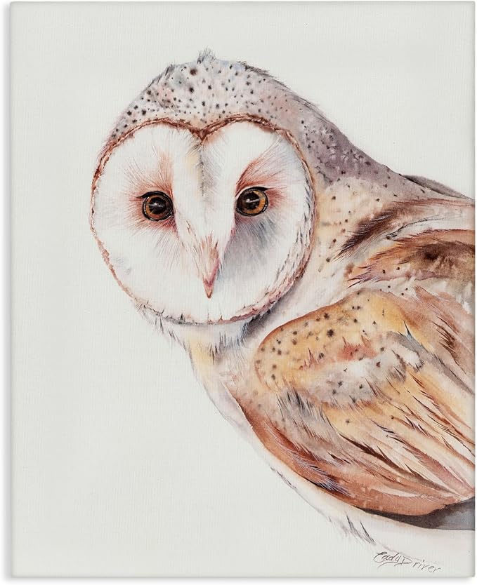 Peeking Barn Owl Gaze Wildlife, 30 x 40 Inch Canvas Wall Art | Stupell Industries · By Cady Driver · Ready to hang · Rustic cabin and lodge decor · Made in USA