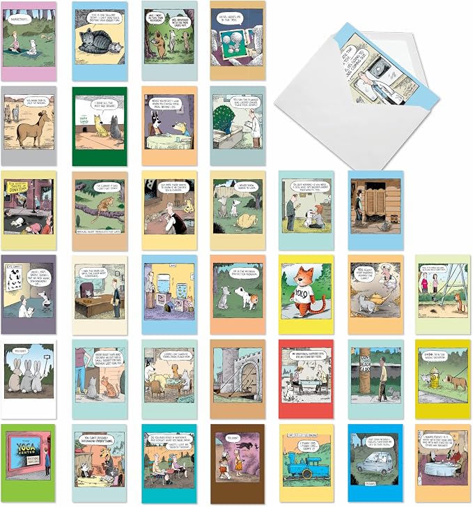 NobleWorks 36 Assorted Funny Birthday Cards in Bulk Box Set with Envelopes Dave Coverly Cartoon Humor Cake Time for Men and Women AC9375BDG-B1x36
