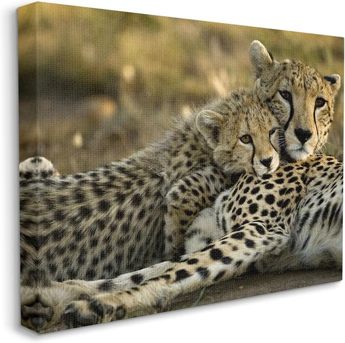 Stupell Industries Cheetah Family Mother with Cub, Designed By Joe McDonald / � DanitaDelimont.com, 40 x 30, Canvas Wall Art | Stupell Industries · Ready to hang · Nature inspired decor · Made in USA