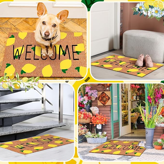 Ceenna Summer Lemon Coir Doormat Outdoor Summer Welcome Rug with Non Slip Backing Lemon Front Door Mat Front Porch Rugs for Farmhouse Home Entrance Anniversary, 16 x 28inches