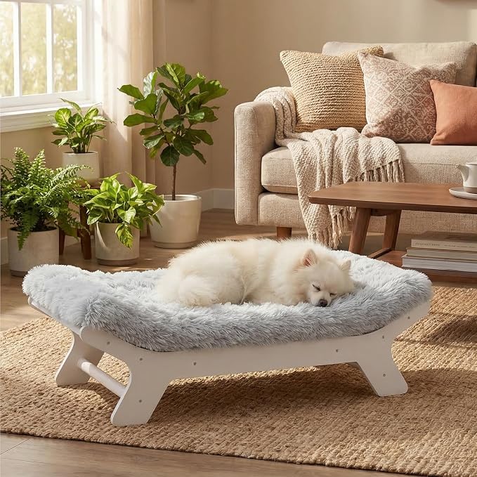Muihood Elevated Wooden Dog Bed with Foam Mattress, White, Small | Raised Dog Bed with Washable Cover, Supportive Foam Mattress, Perfect for Small Dogs and Indoor Living