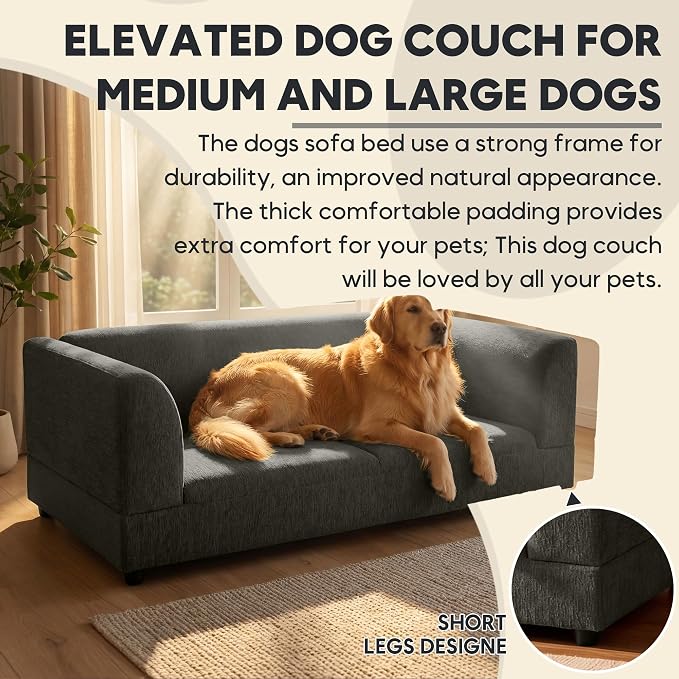 56.5" Dog Sofa Couch for Medium and Large Dogs with Backrest and Armrest, Memory Foam Dog Sofa Bed, Modern Elevated Pet Couch Bed with Legs for Dogs, Dark Grey
