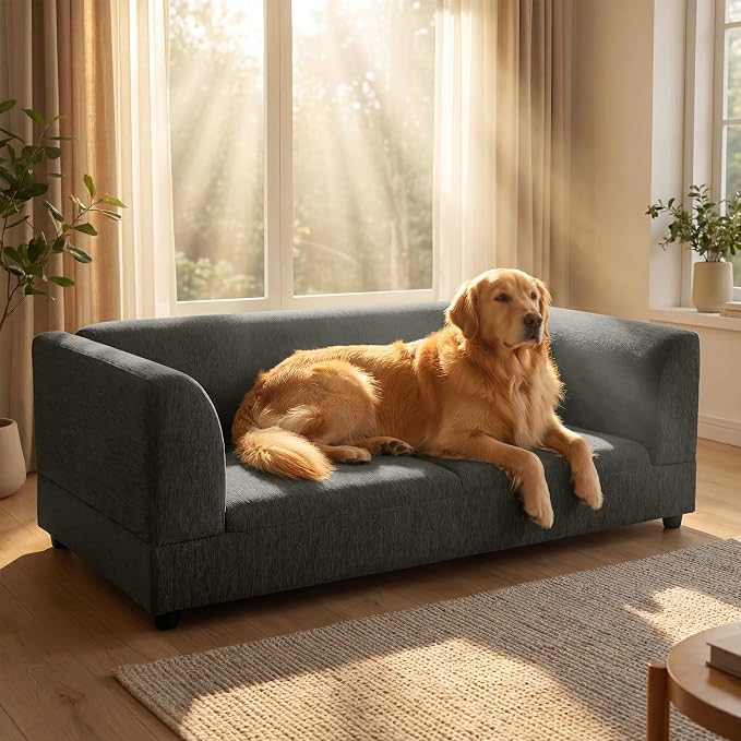 56.5" Dog Sofa Couch for Medium and Large Dogs with Backrest and Armrest, Memory Foam Dog Sofa Bed, Modern Elevated Pet Couch Bed with Legs for Dogs, Dark Grey