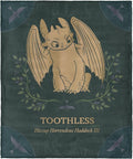 How to Train Your Dragon Hiccup and Toothless Silk Touch Throw Blanket 40x50 inches